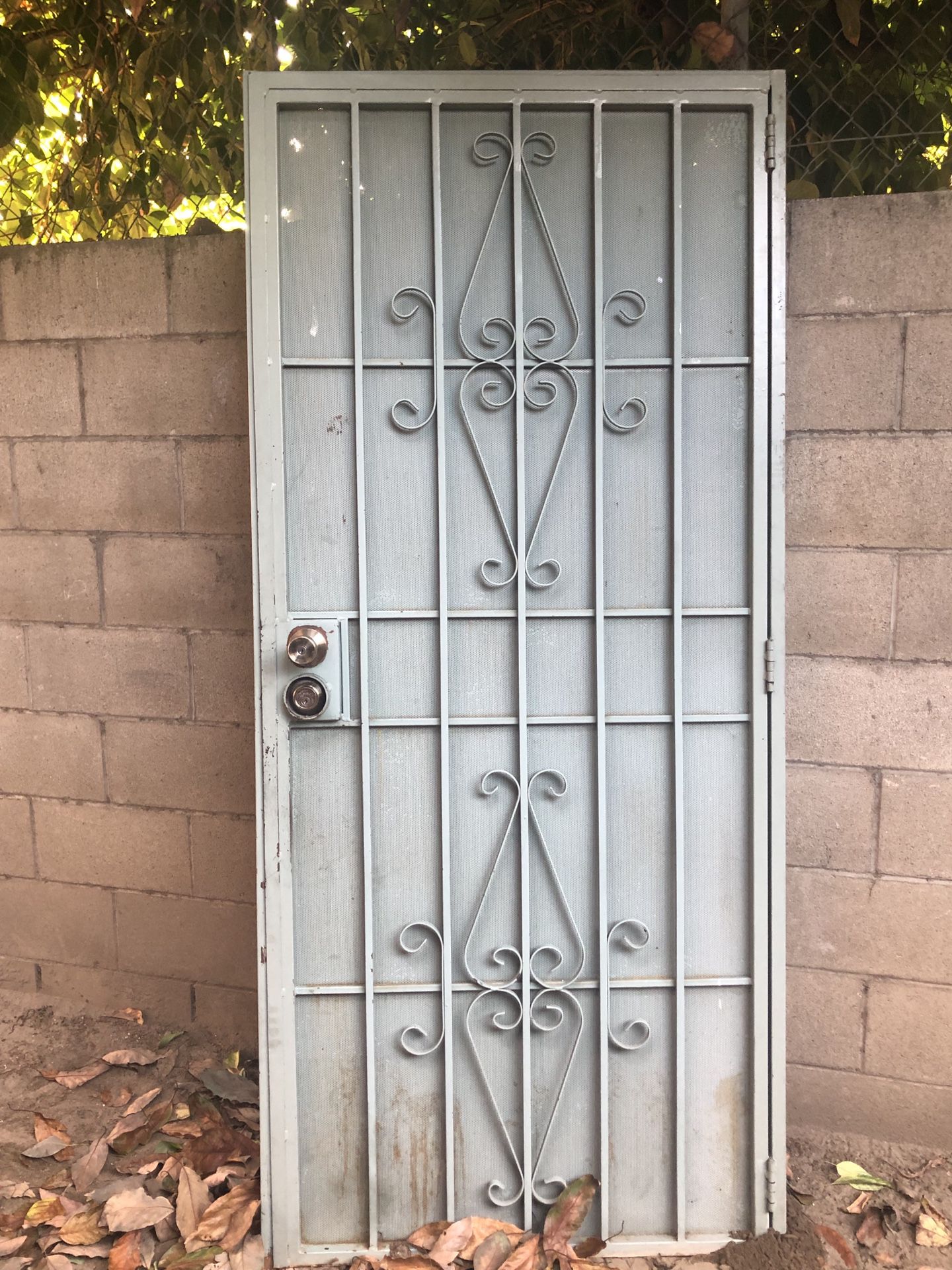 Iron door with frame