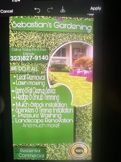 Garden