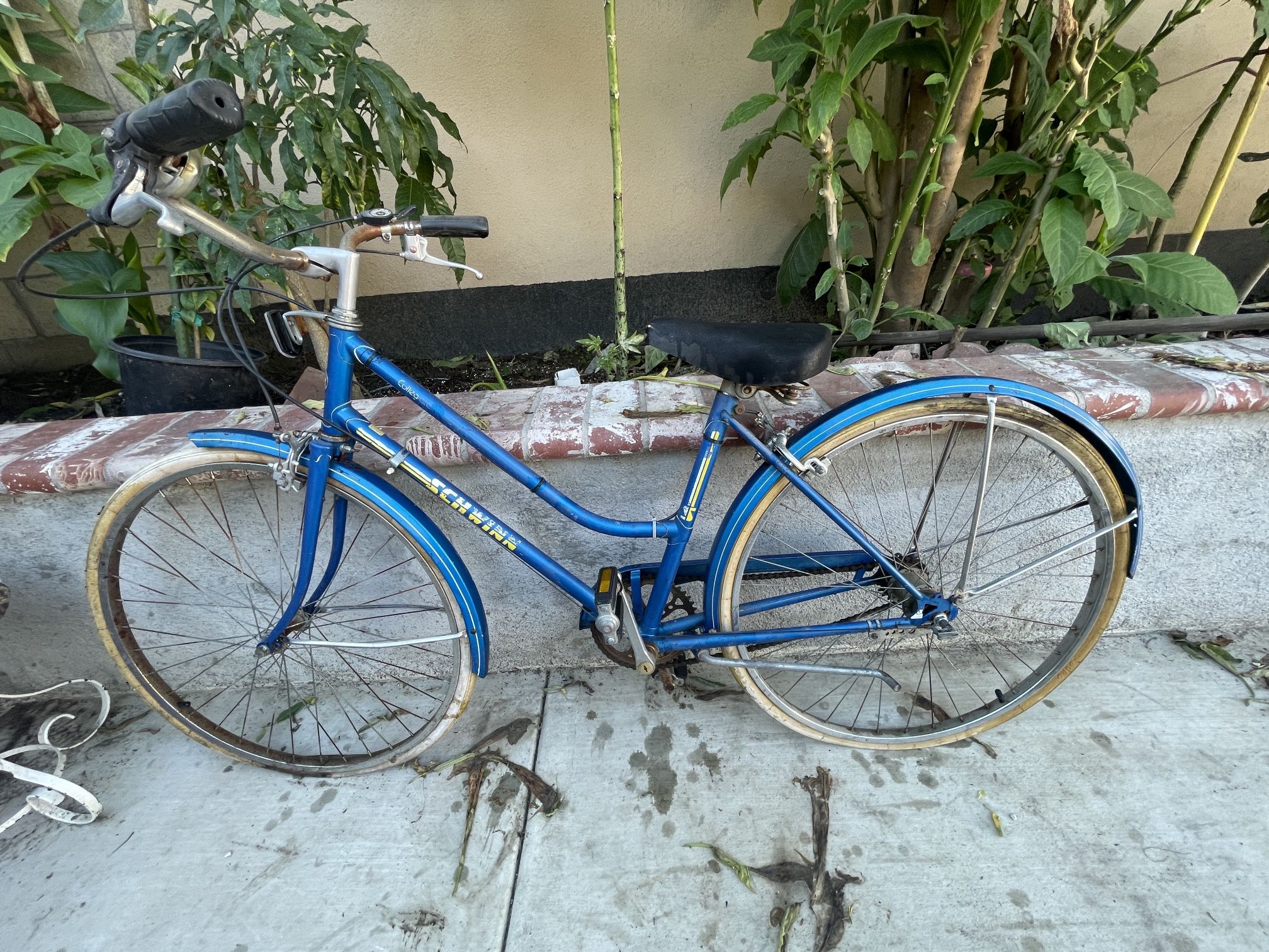 Vintage Schwinn Collegiate 3 Speed Bike