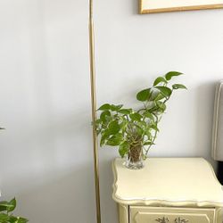 Gold dome floor lamp