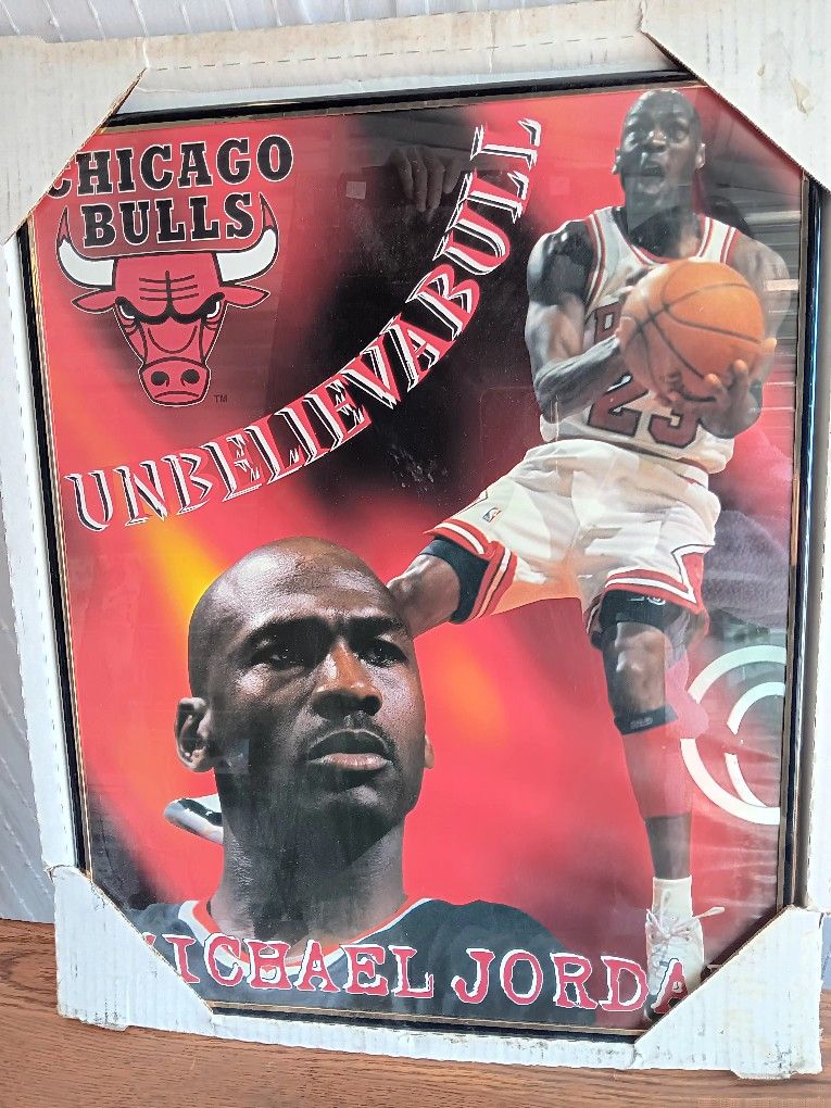 Michael Jordan Collectors Picture For Sale