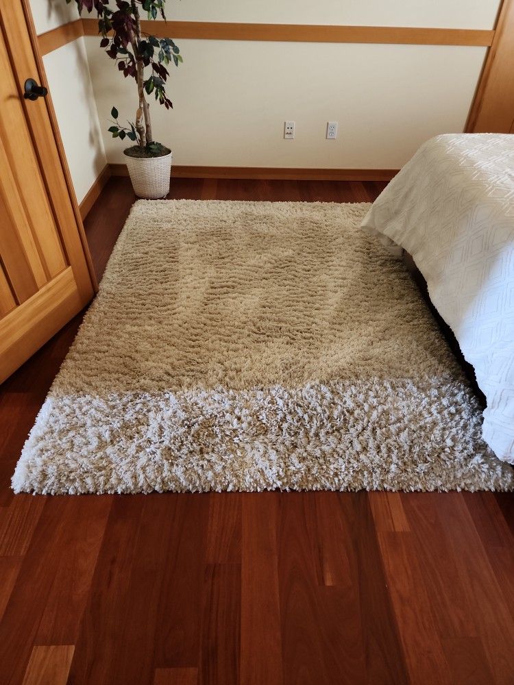 Shag Rug 5x7 Ft
