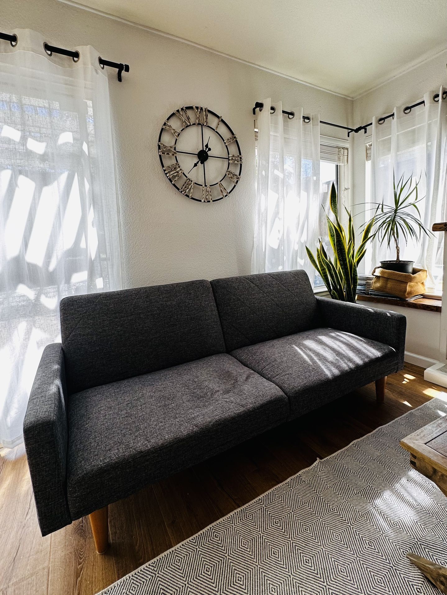 Couch / Sleeper Sofa