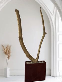 Home Decor Branch Planter Living Room