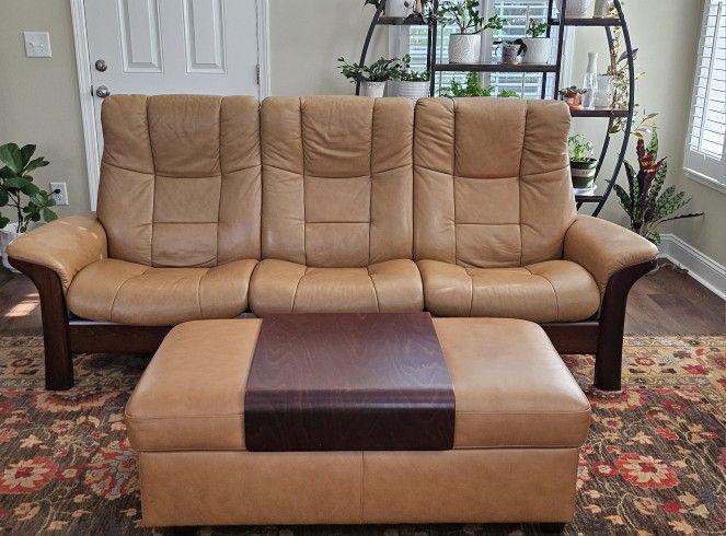 Leather Sofa and Ottoman