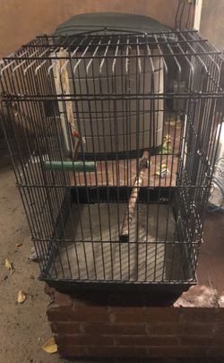 Cockatoo cage