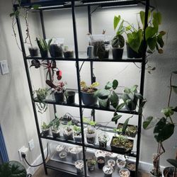 Vitzjo Shelf For Sale !!! Great Condition !! 
