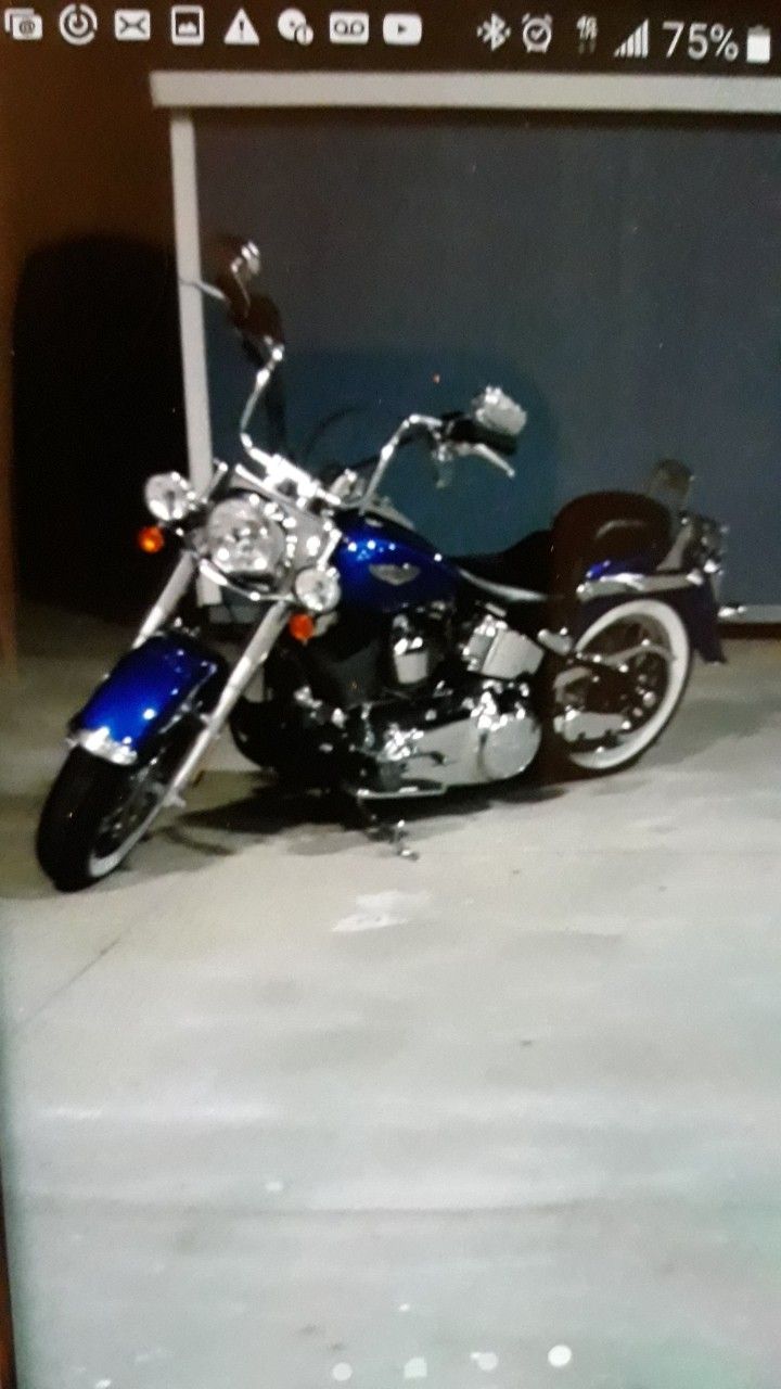 2010 Softail Deluxe great condition