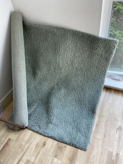 Shag Rug
