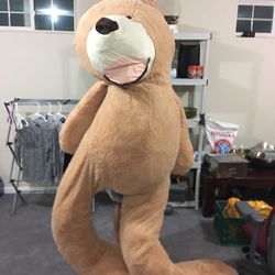 Giant Brown/purple Teddy Bears