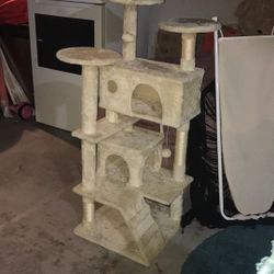 Beautiful  Cat house