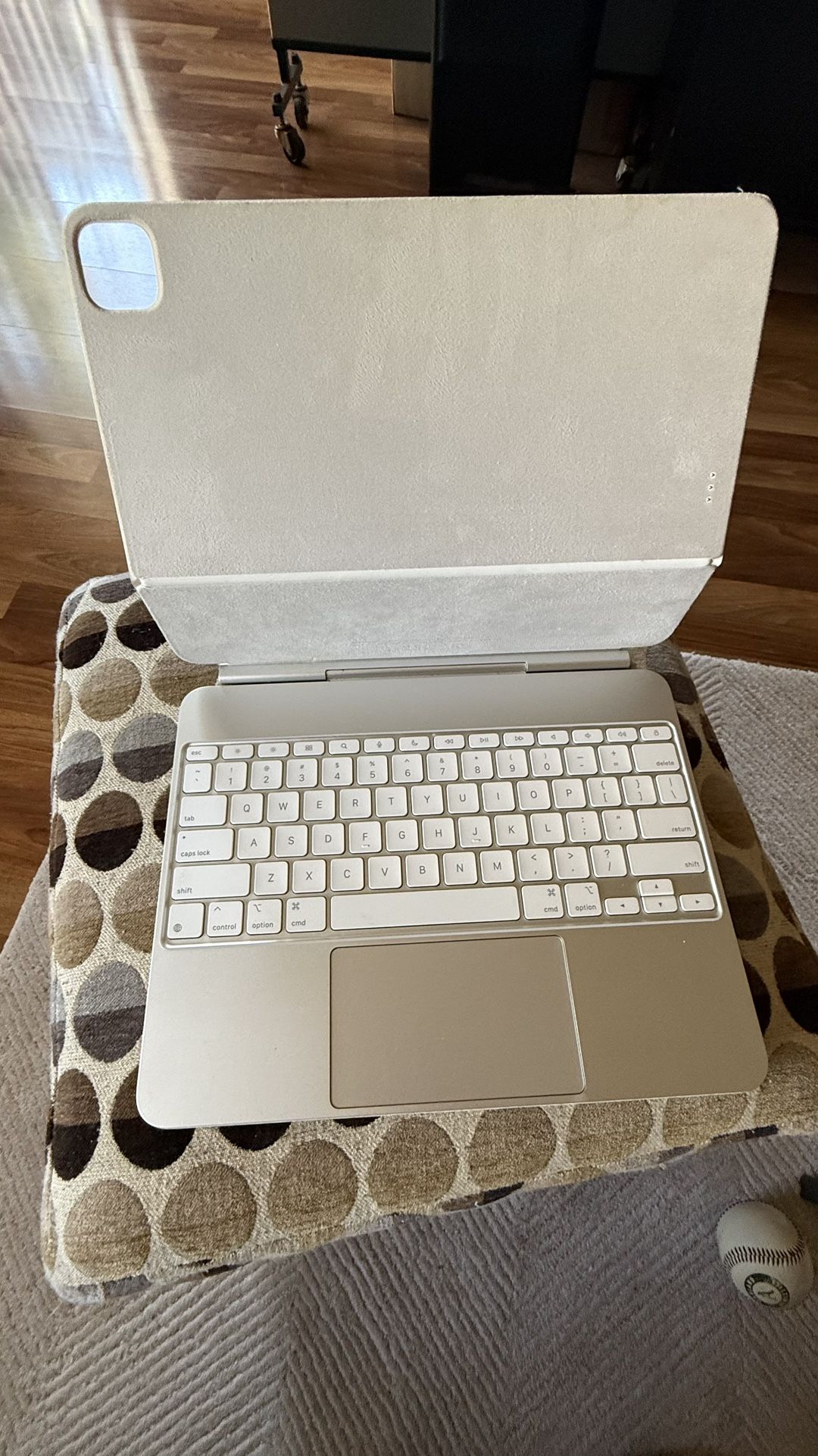 iPad (A2974): This is the 2024 model of the 11-inch iPad Pro 