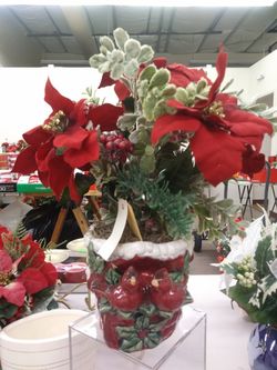 Cardinal potted arrangement