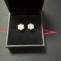 Moissanite Earrings. (Pass A Diamond Tester )
