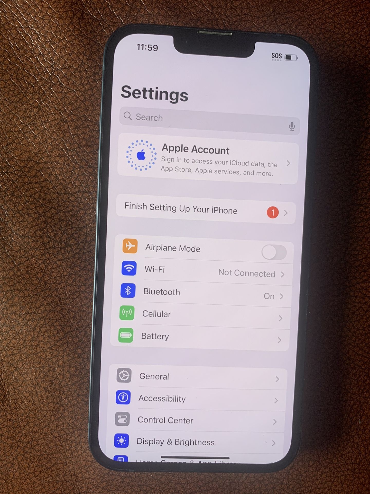 Unlocked iPhone 13