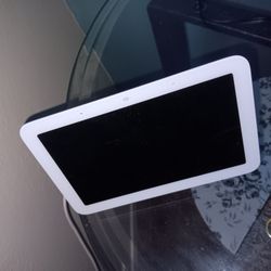 Google Home,   Can Deliver For Xtra $5