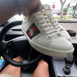 Gucci Ace 