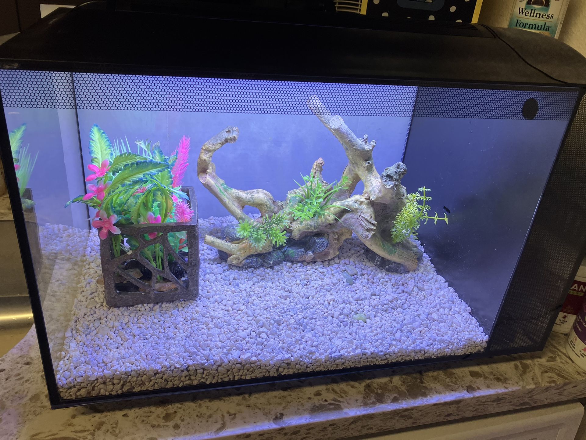 Fluval Saltwater Aquarium Kit 13.5 Gallons