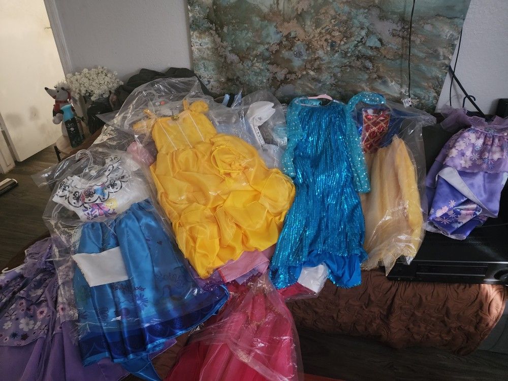 Disney Princess Dresses / Halloween Costumes