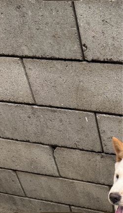 Brick wall