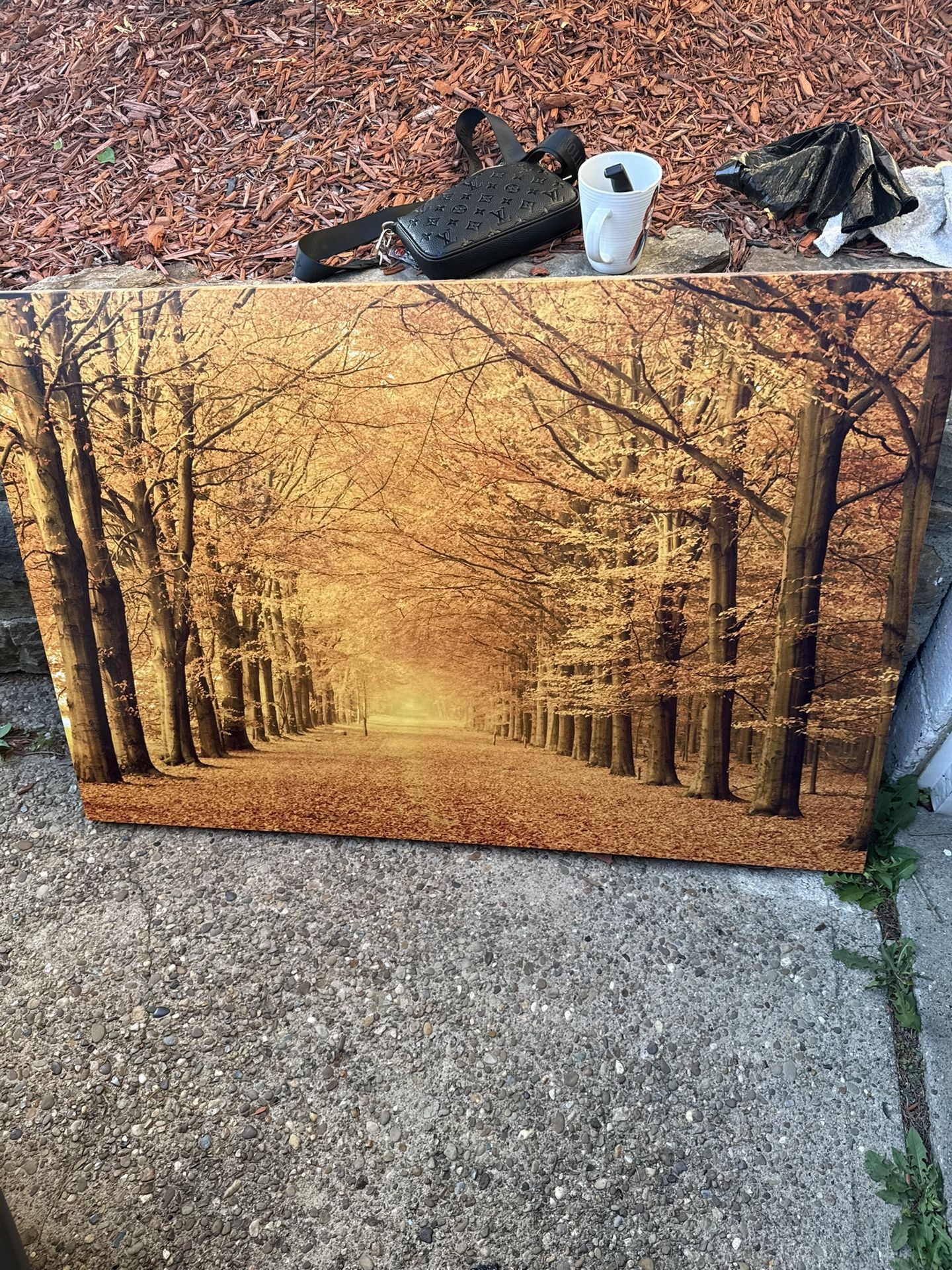 Large Fall Picture