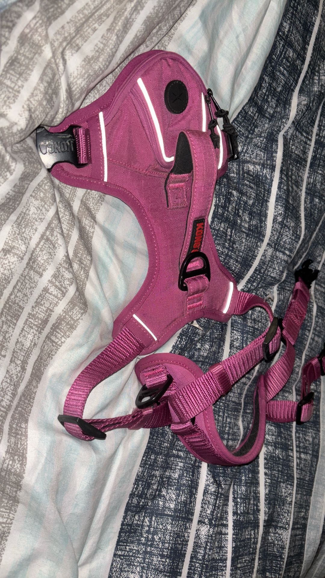 Pink Dog Harness