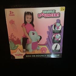 Kids Bouncer