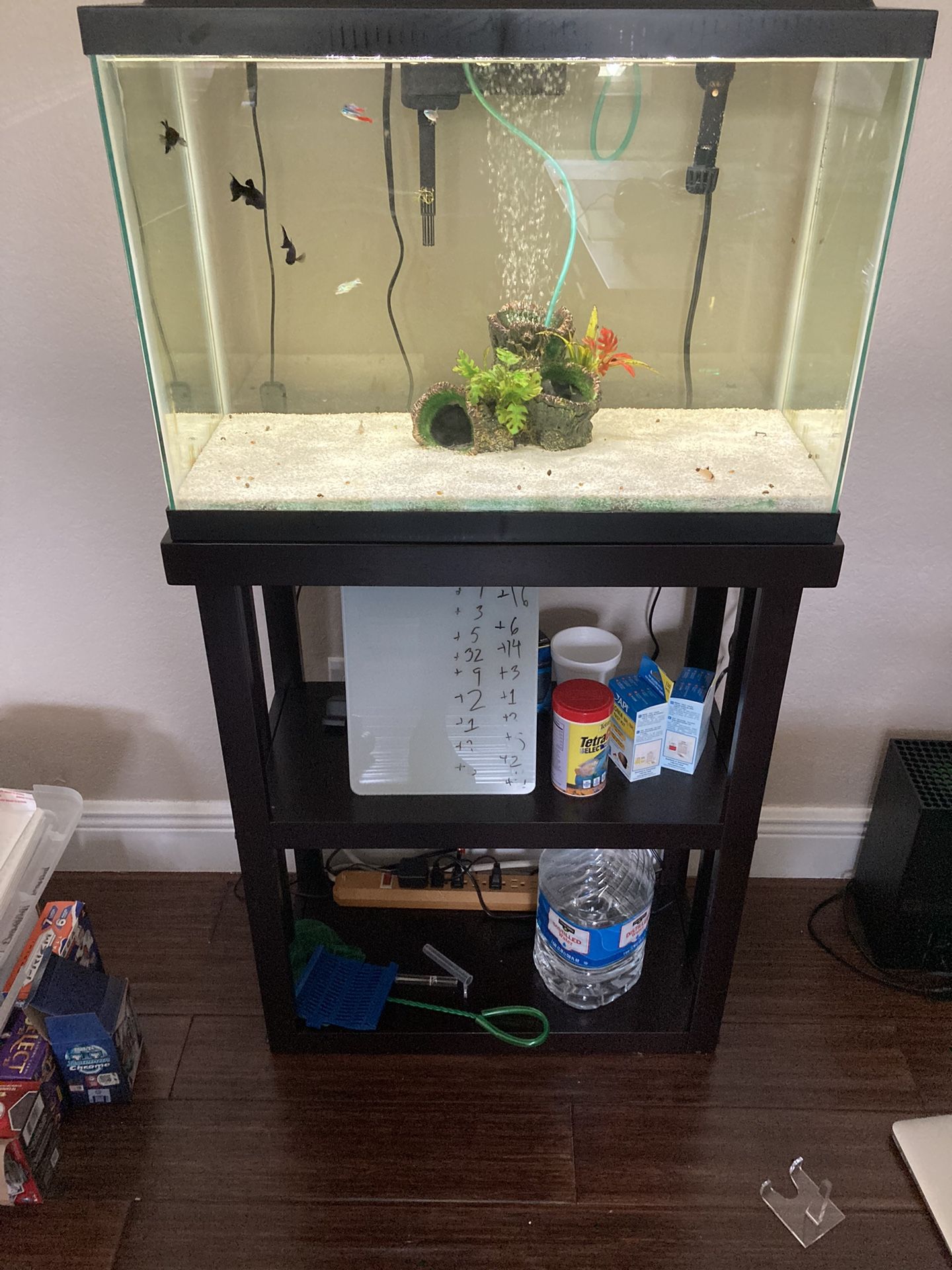20 Gallon Fish Tank With Stand And  Light