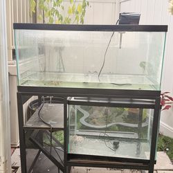 fish tank whit stand