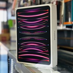 iPad Pro 11in 4th Gen 
