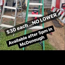 6 Foot Ladder
