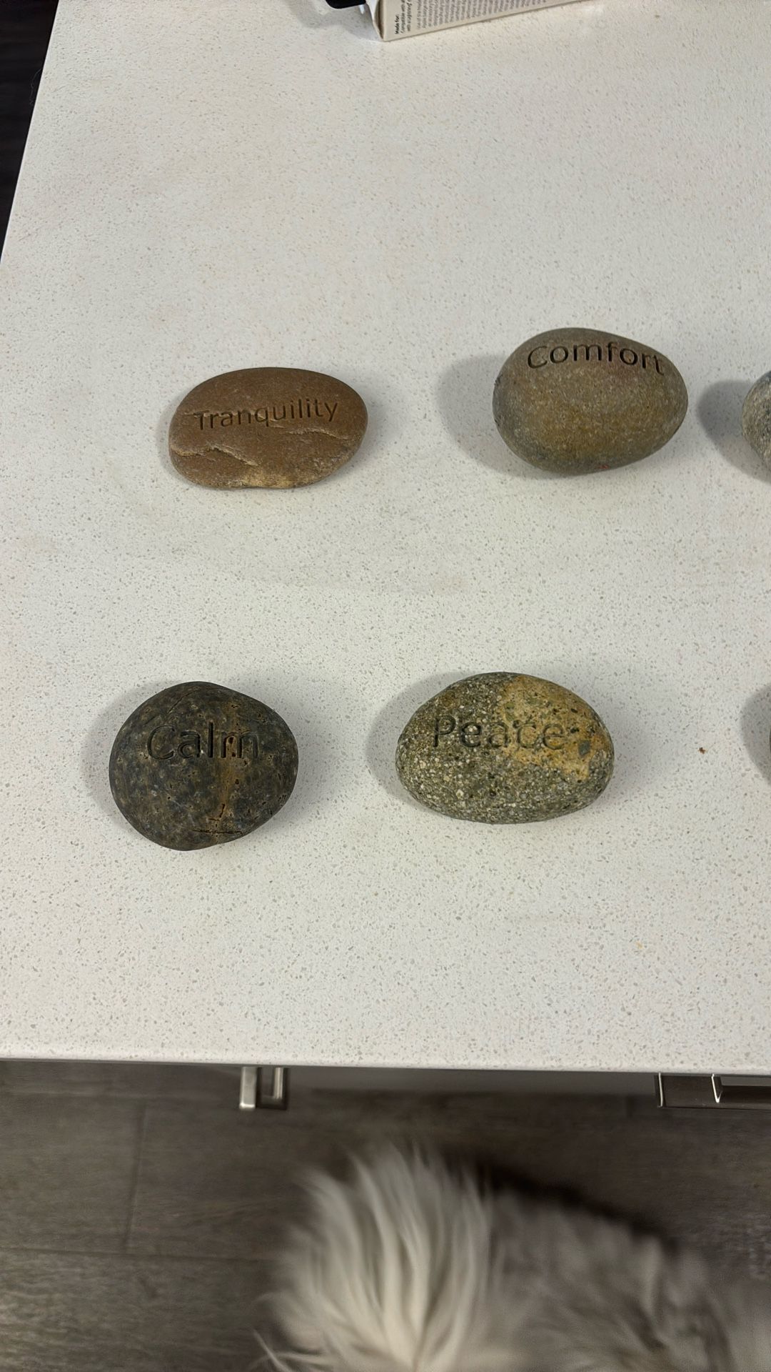 Garden Rocks