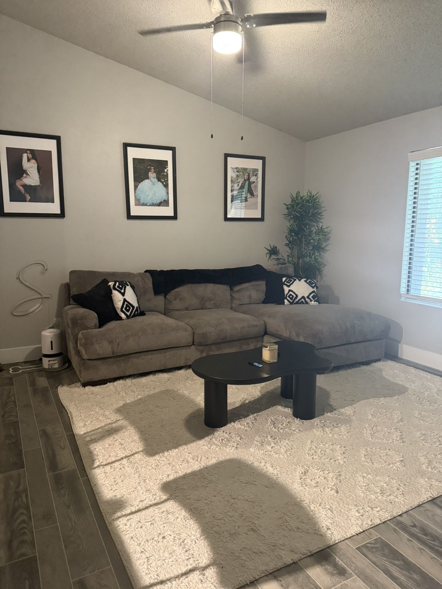 Ashley Furniture Couch