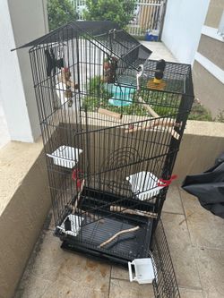 Bird cage