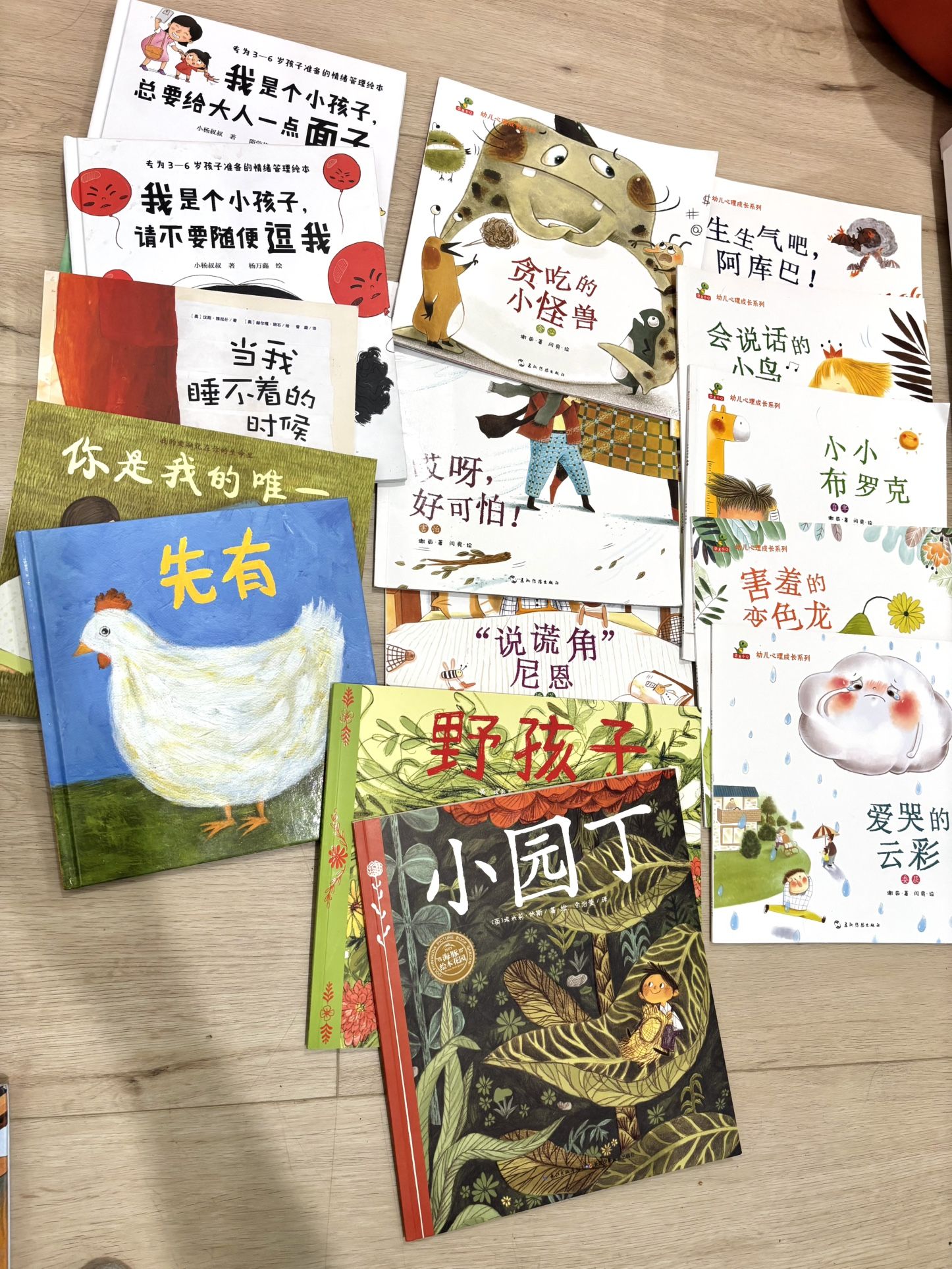 Set Of 15 simplified And 6 Traditional Mandarin Chinese Books