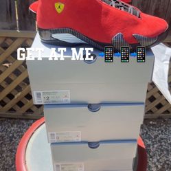 Jordan 14’s 