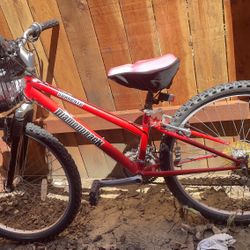 Diamondback Bicycle - Red