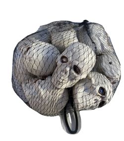 12 piece mini skulls, skeleton, heads, Halloween decoration, crafts