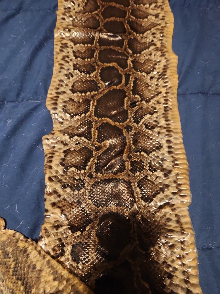 90" Python Skin