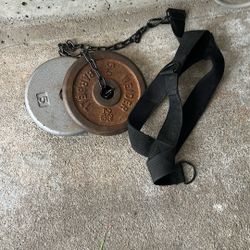 2 5 Pound Weights And Strap