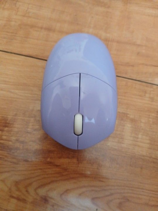 Computer Mouse