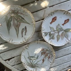 Vintage Plates