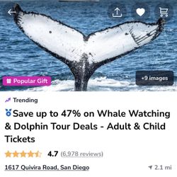 2 Whale watching Tickets for tmo at 9am!!!