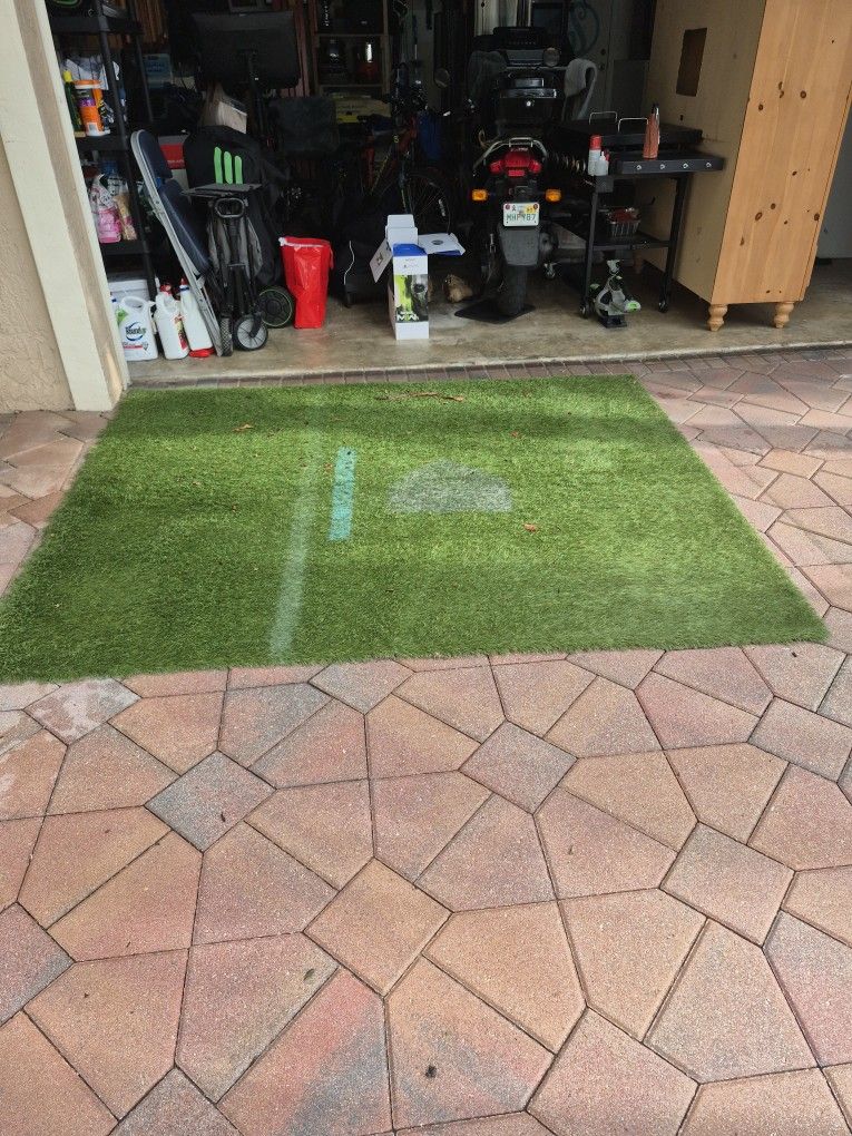 Baseball Net And Turf