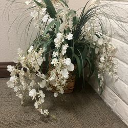 Decorative Plant