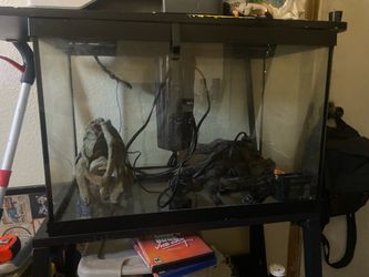20 Gallon FishTank with stand