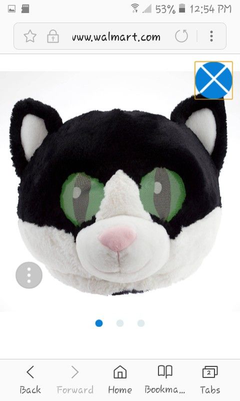 Maskimals Cat