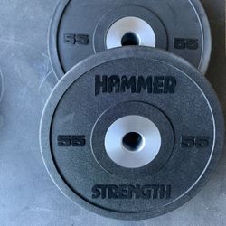 Bumper Plates 2 55 Pounds 