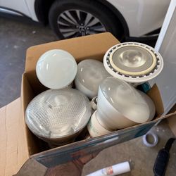 Light Bulbs 