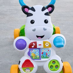 Zebra Push Walker 